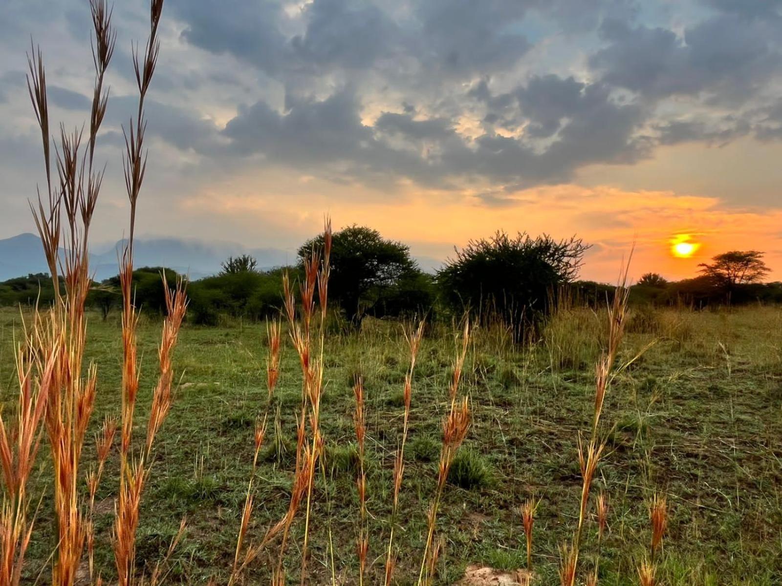Thabazimbi Bushveld Self Catering Accommodation Εξωτερικό φωτογραφία